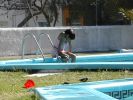 33PoolBabeforFin.jpg