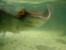 45-ray3.jpg